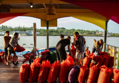 @mottaportraits Fabricio Motta